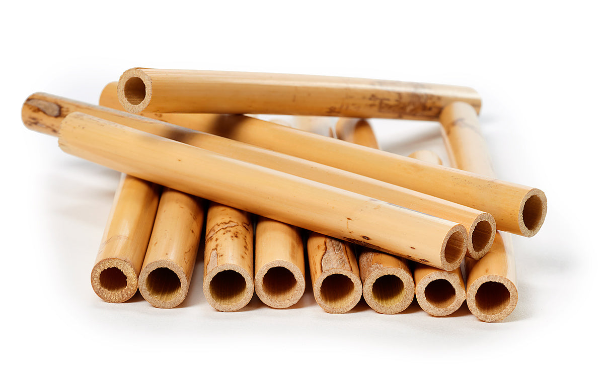 How To Buy Oboe Tube Cane- Selection Strategies – Magic Reed