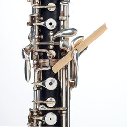 Magic Gouged Oboe Cane